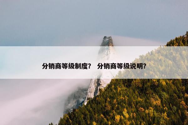 分销商等级制度？ 分销商等级说明？
