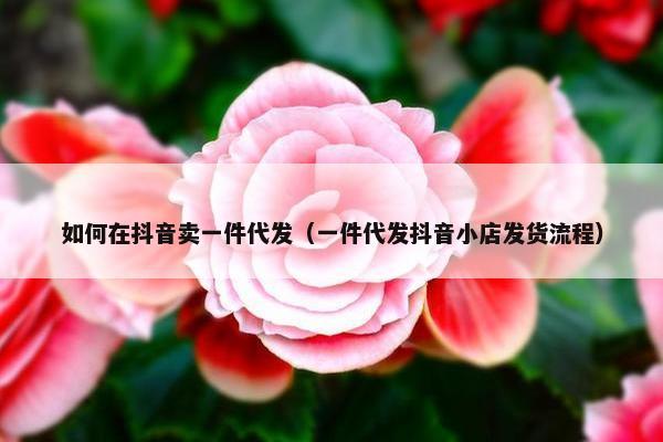 如何在抖音卖一件代发（一件代发抖音小店发货流程）