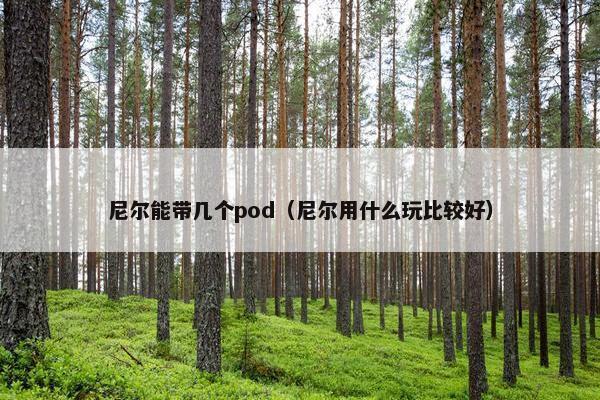 尼尔能带几个pod（尼尔用什么玩比较好）