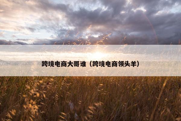 跨境电商大哥谁（跨境电商领头羊）