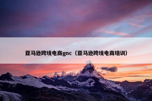 亚马逊跨境电商gnc（亚马逊跨境电商培训）