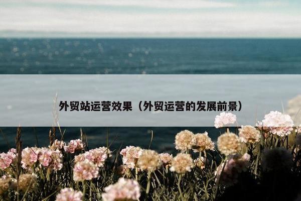 外贸站运营效果（外贸运营的发展前景）