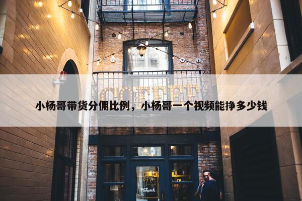 小杨哥带货分佣比例，小杨哥一个视频能挣多少钱