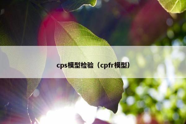 cps模型检验（cpfr模型）