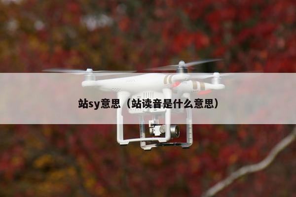 站sy意思（站读音是什么意思）