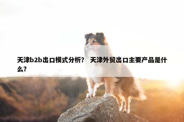 天津b2b出口模式分析？ 天津外贸出口主要产品是什么？