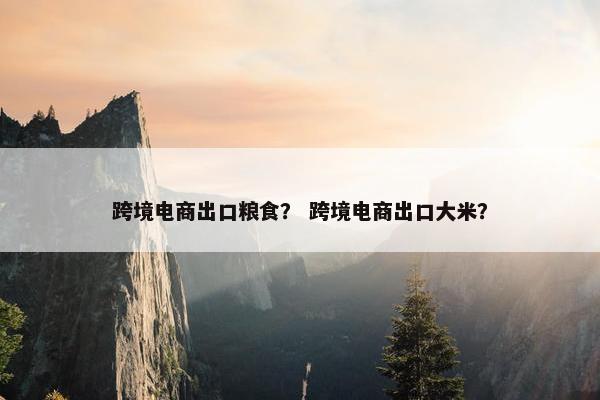 跨境电商出口粮食？ 跨境电商出口大米？