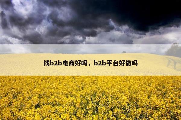 找b2b电商好吗，b2b平台好做吗