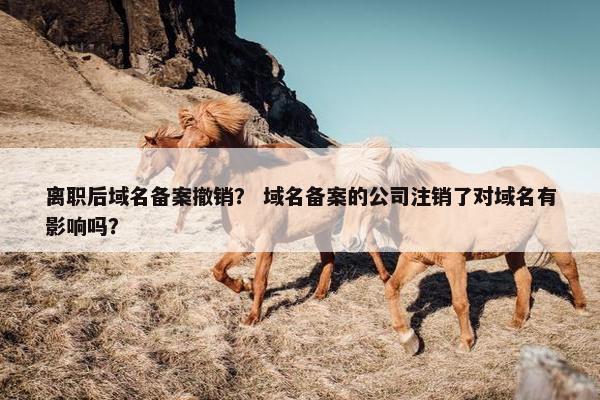 离职后域名备案撤销？ 域名备案的公司注销了对域名有影响吗？