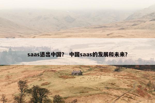 saas退出中国？ 中国saas的发展和未来？