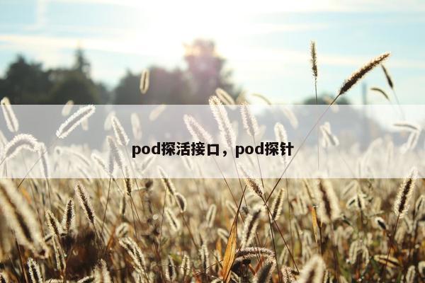 pod探活接口，pod探针