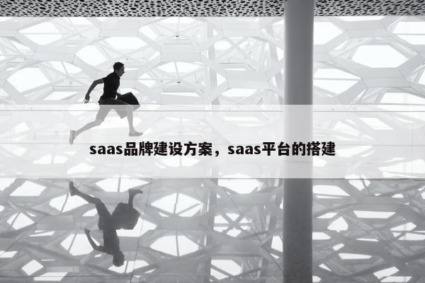 saas品牌建设方案，saas平台的搭建