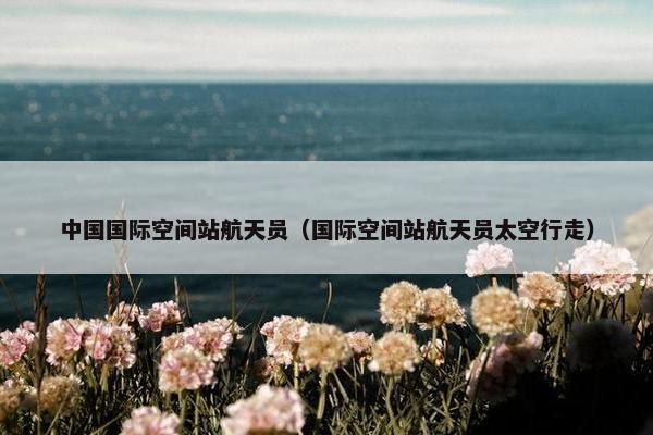 中国国际空间站航天员（国际空间站航天员太空行走）