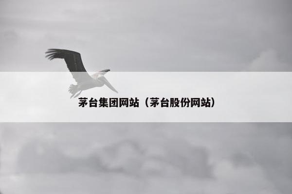 茅台集团网站（茅台股份网站）