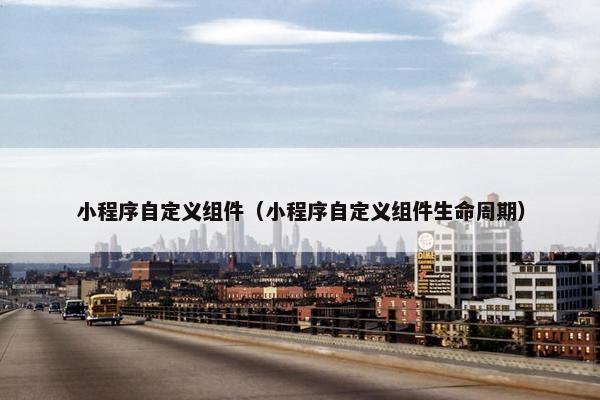小程序自定义组件（小程序自定义组件生命周期）