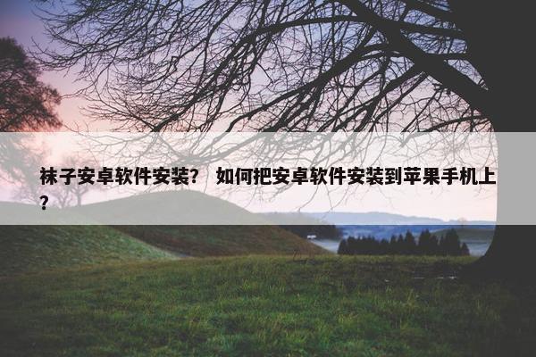 袜子安卓软件安装？ 如何把安卓软件安装到苹果手机上？