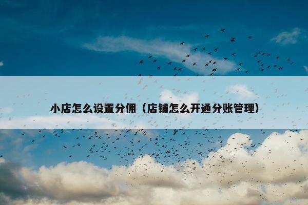 小店怎么设置分佣（店铺怎么开通分账管理）