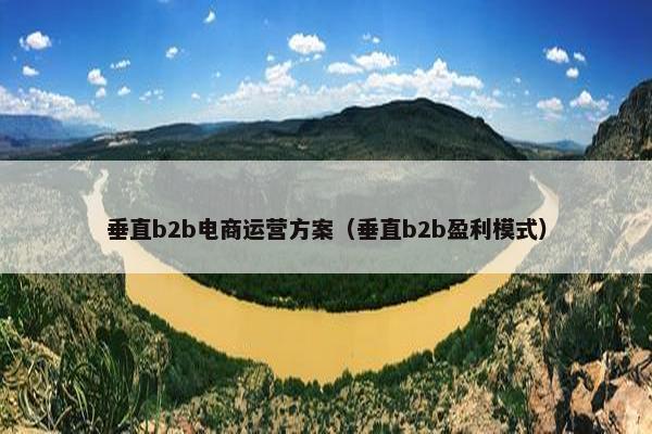 垂直b2b电商运营方案（垂直b2b盈利模式）