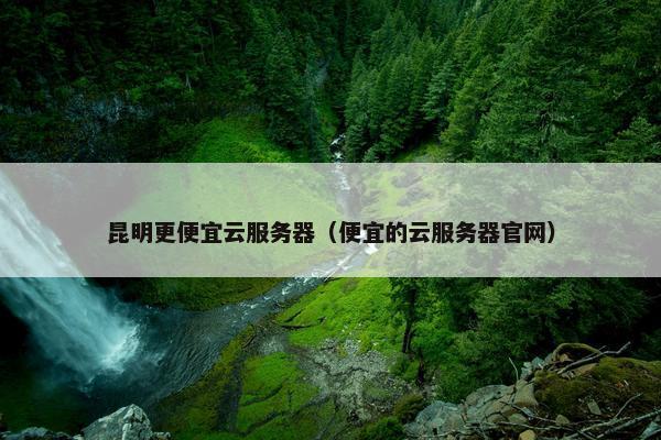 昆明更便宜云服务器（便宜的云服务器官网）