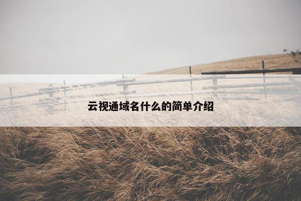 云视通域名什么的简单介绍