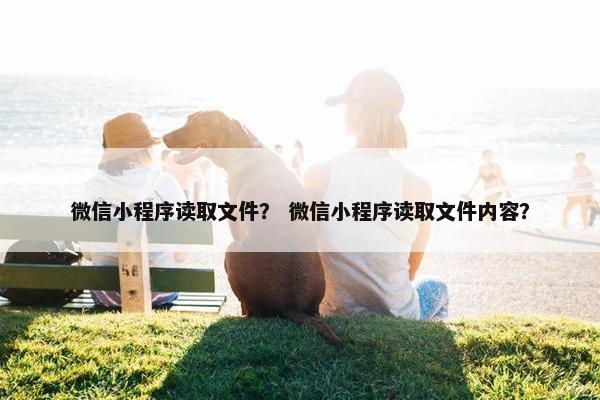 微信小程序读取文件？ 微信小程序读取文件内容？
