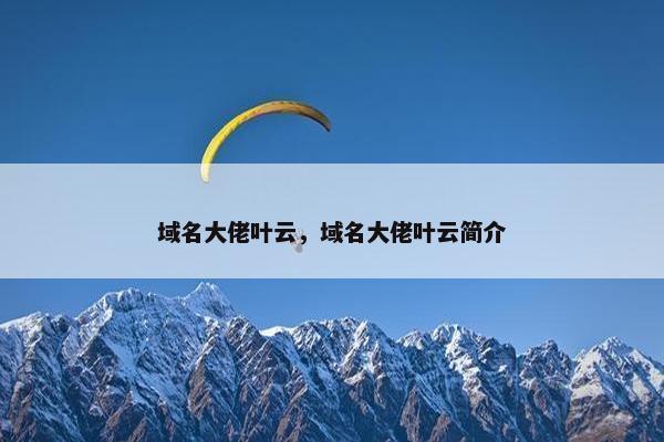域名大佬叶云，域名大佬叶云简介