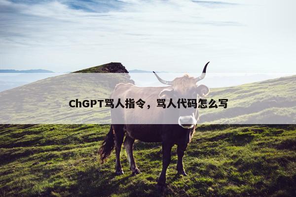 ChGPT骂人指令，骂人代码怎么写