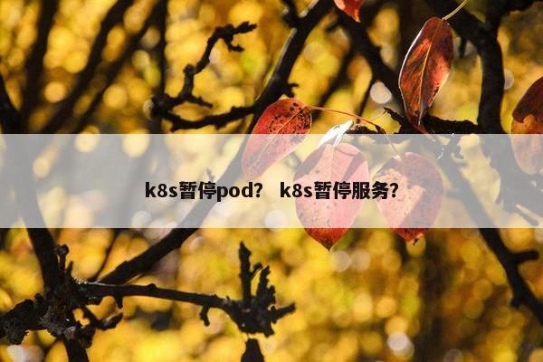 k8s暂停pod？ k8s暂停服务？