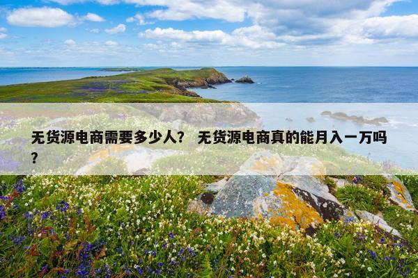 无货源电商需要多少人？ 无货源电商真的能月入一万吗？
