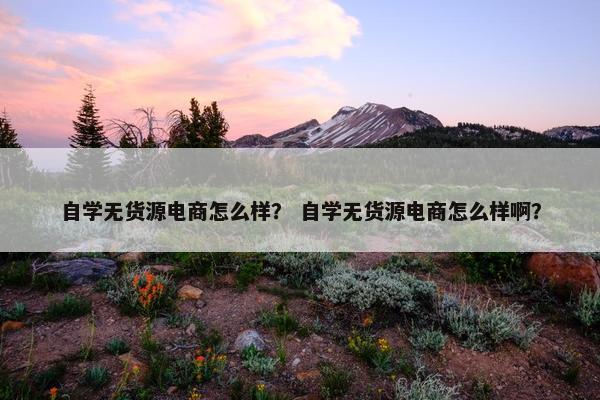 自学无货源电商怎么样？ 自学无货源电商怎么样啊？