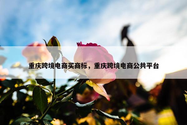 重庆跨境电商买商标，重庆跨境电商公共平台