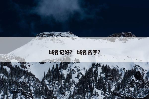 域名记好？ 域名名字？