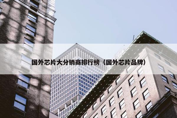 国外芯片大分销商排行榜（国外芯片品牌）