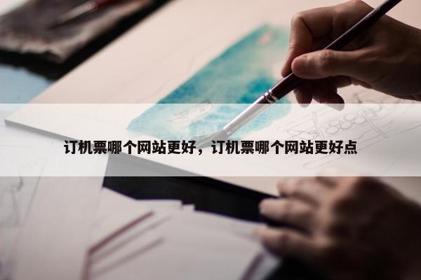 订机票哪个网站更好，订机票哪个网站更好点