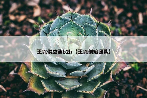 王兴供应链b2b（王兴创始团队）
