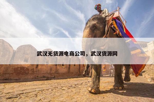 武汉无货源电商公司，武汉货源网