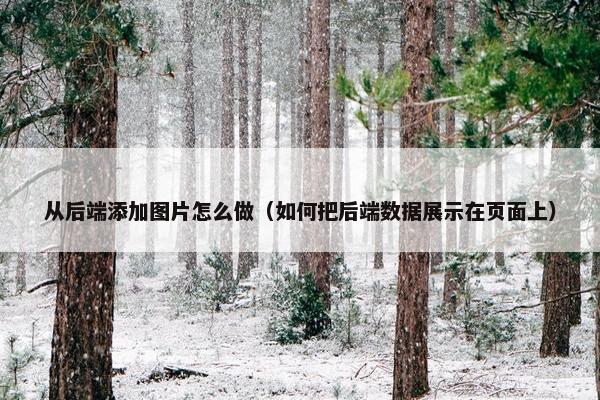 从后端添加图片怎么做（如何把后端数据展示在页面上）
