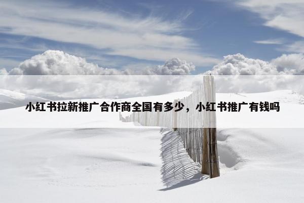 小红书拉新推广合作商全国有多少，小红书推广有钱吗