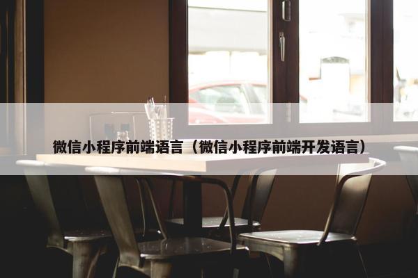 微信小程序前端语言（微信小程序前端开发语言）