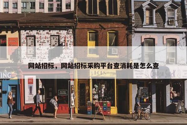 网站招标，网站招标采购平台查消耗是怎么查