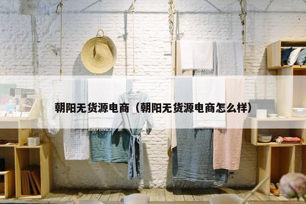 朝阳无货源电商（朝阳无货源电商怎么样）