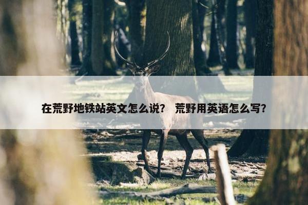 在荒野地铁站英文怎么说？ 荒野用英语怎么写？