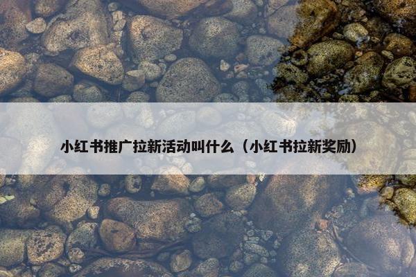 小红书推广拉新活动叫什么（小红书拉新奖励）