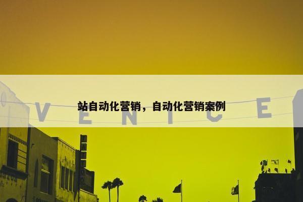 站自动化营销，自动化营销案例