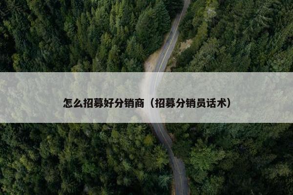 怎么招募好分销商（招募分销员话术）