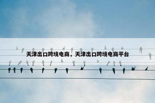 天津出口跨境电商，天津出口跨境电商平台