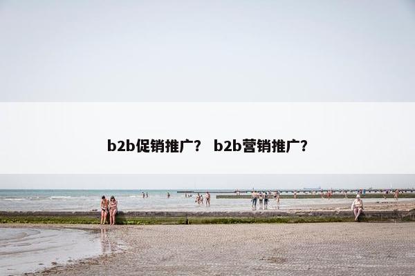b2b促销推广？ b2b营销推广？