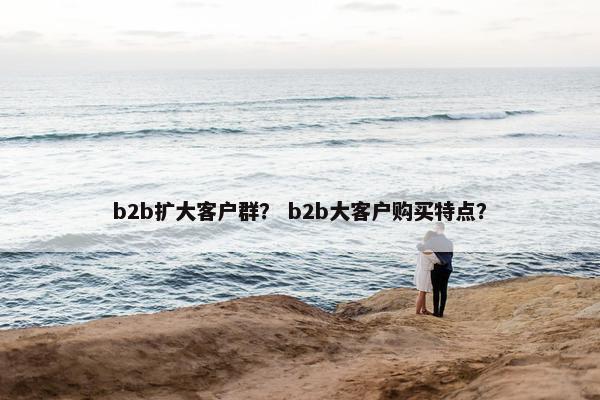 b2b扩大客户群？ b2b大客户购买特点？