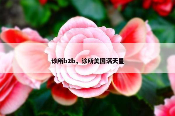 诊所b2b，诊所美国满天星