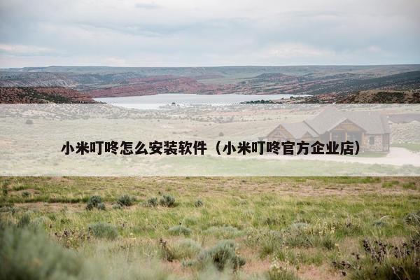小米叮咚怎么安装软件（小米叮咚官方企业店）